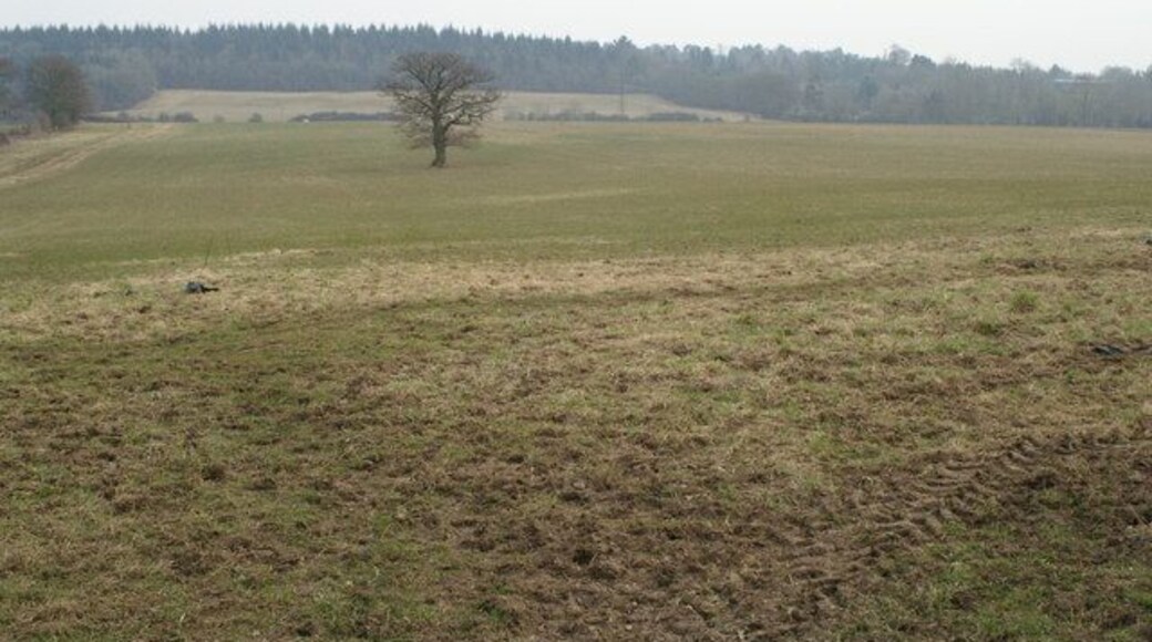 Land south east of Braishfield. Looking SE towards Ampfield Wood SU3824 from Common Hill Road