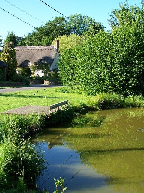 Village Pond at Braishfield