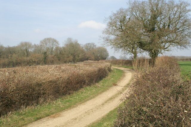 Parnell Lane. A lane north of Michelmersh Manor Farm, at junction with monarch's way