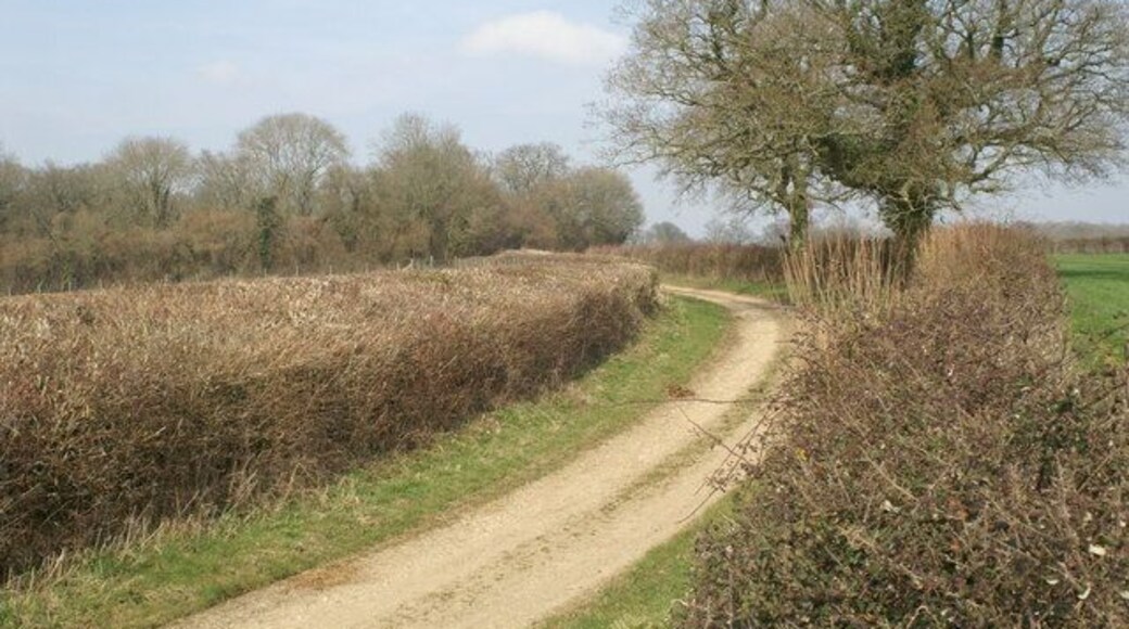 Parnell Lane. A lane north of Michelmersh Manor Farm, at junction with monarch's way