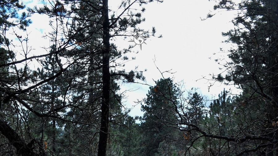 Path to Crow Peak
#TakeAHike