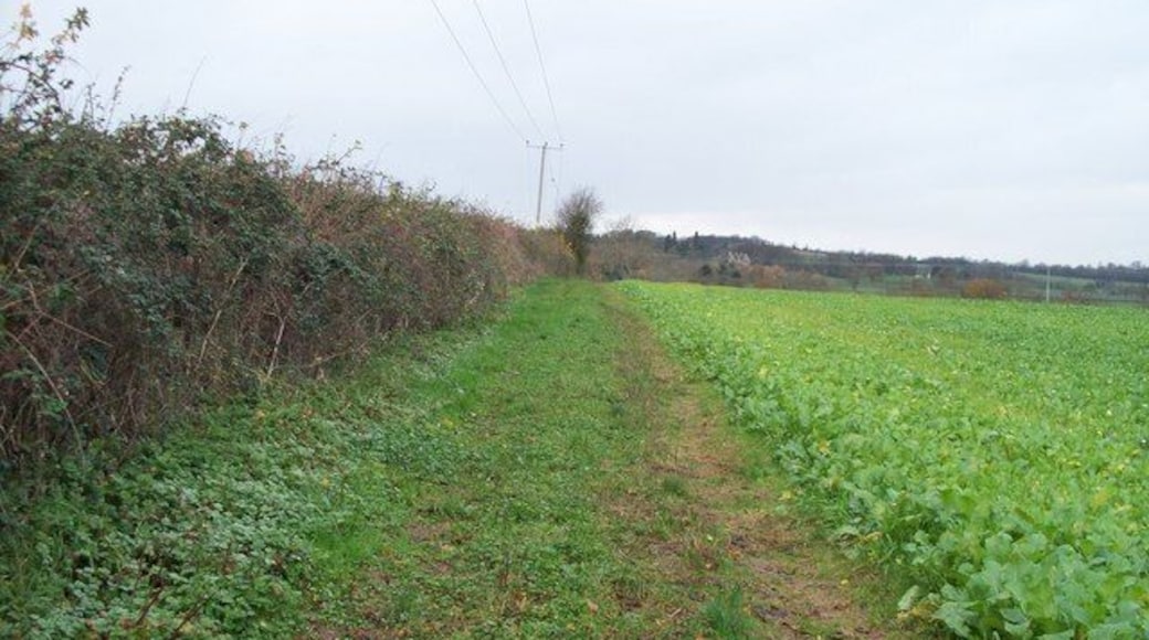 Field edge path The restricted byway ended at Black Pit Farm and the right of way continues as a footpath to Broadwell. Here the path runs along the field edge.