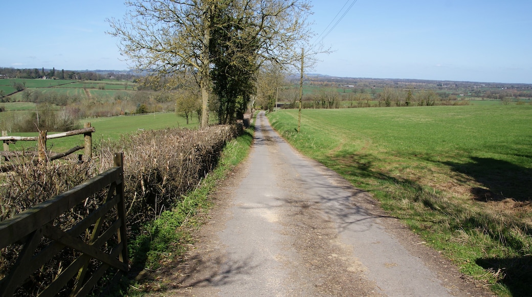 The track to Oddington Hill Farm