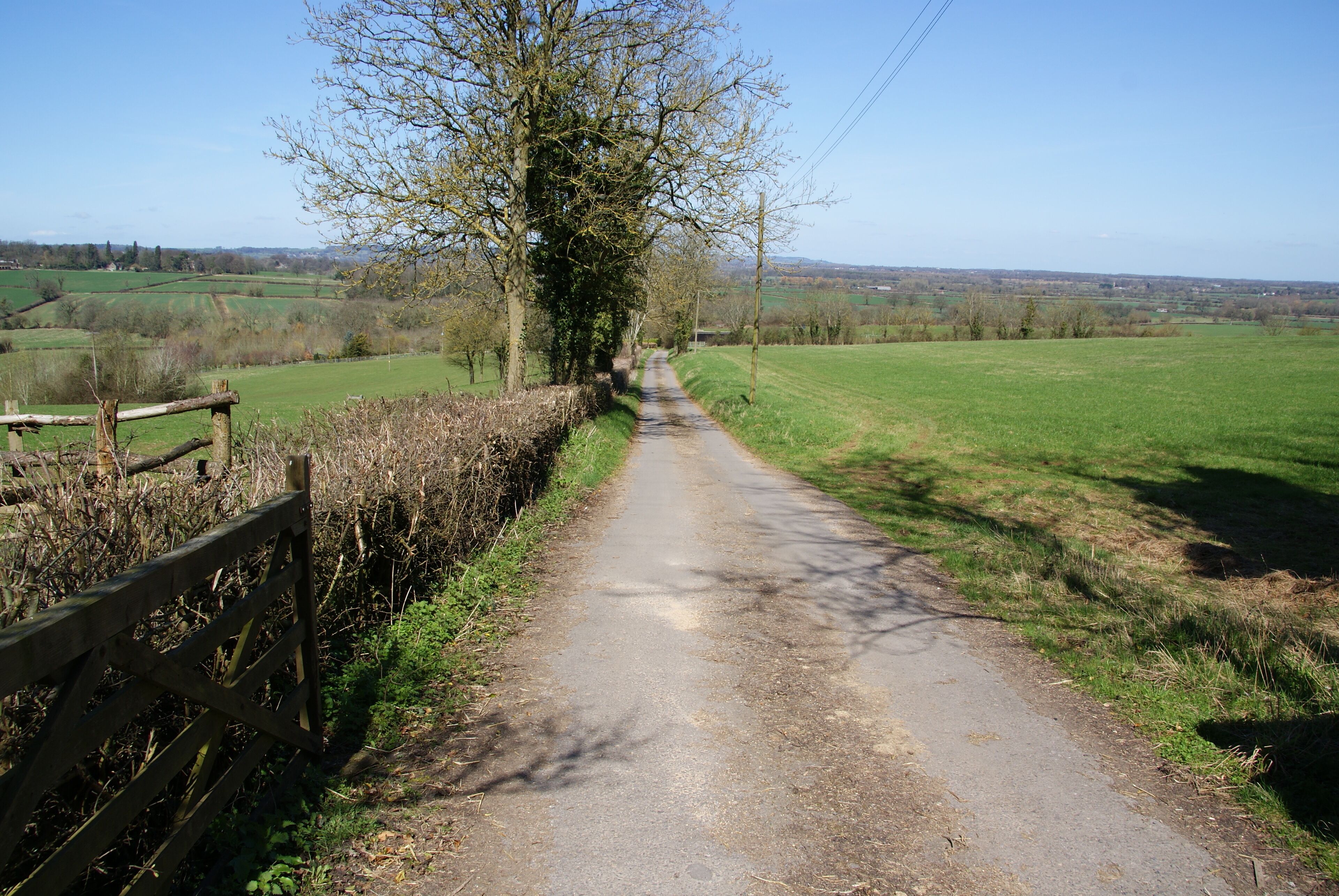 A narrow rural road flanked by fields and trees under a clear sky.
