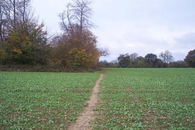 Footpath to Knockholt This path leads from the North Downs Way (long distance path) on Sundrige Hill, towards Main Road, beside the converted pub in Knockholt.