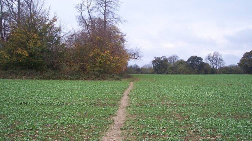 Footpath to Knockholt This path leads from the North Downs Way (long distance path) on Sundrige Hill, towards Main Road, beside the converted pub in Knockholt.