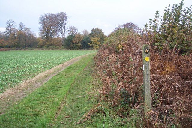 Footpath junction on the North Downs Way near Knockholt The long distance path heads from Brasted Lane towards Sundridge Lane. Another path leads left (through the field) towards Main Road, Knockholt.