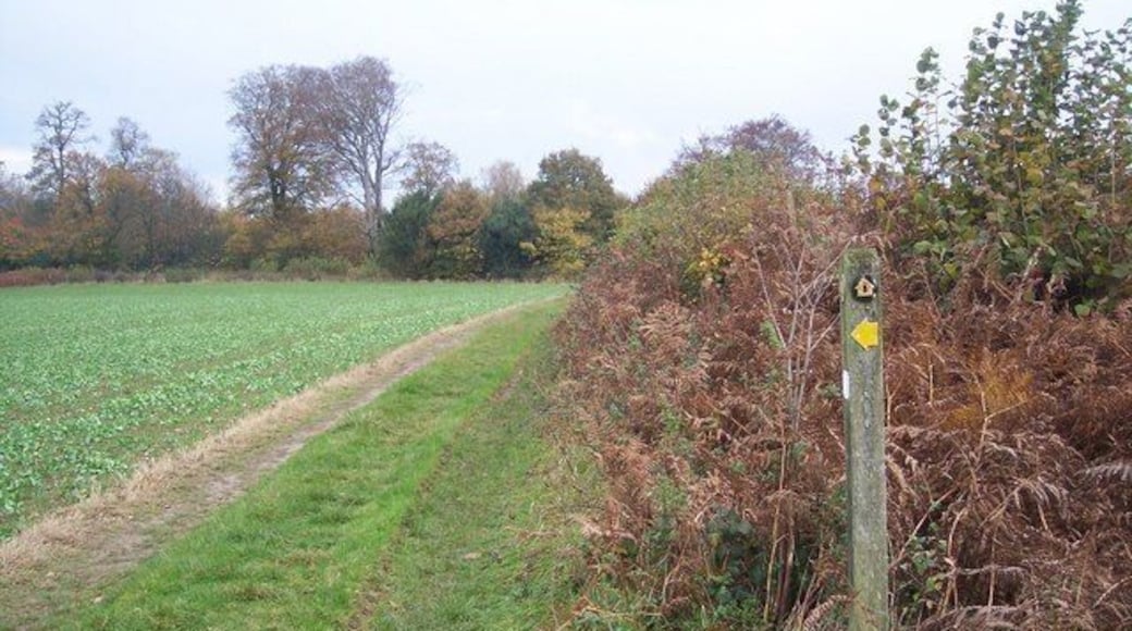 Footpath junction on the North Downs Way near Knockholt The long distance path heads from Brasted Lane towards Sundridge Lane. Another path leads left (through the field) towards Main Road, Knockholt.
