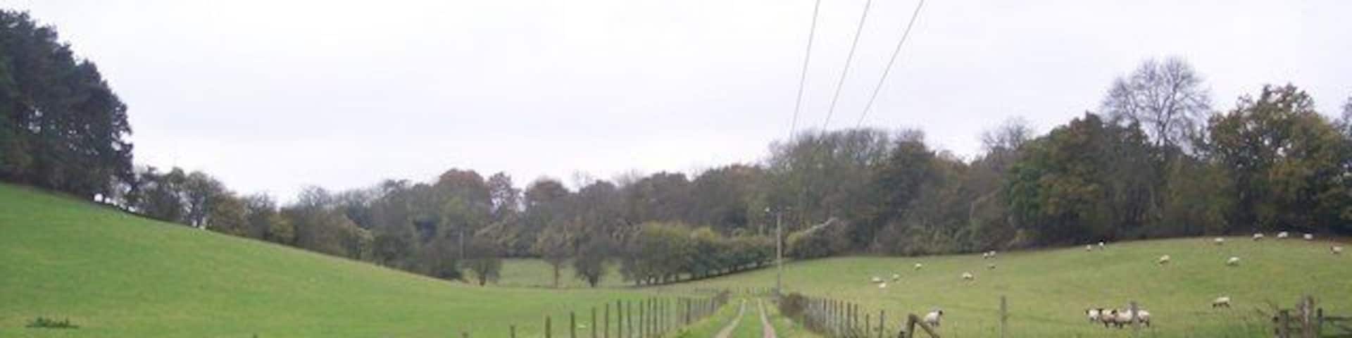 Track near Long Bottom Shaw Seen from a footpath to Blueberry Lane. This track heads south-westerly past Jockey's Wood (on the right).