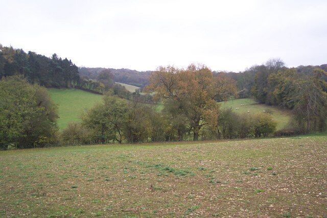 Valley view from near Long Bottom Shaw Jockey's wood is on the left.
