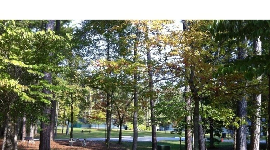 At day use area looking toward tennis courts.