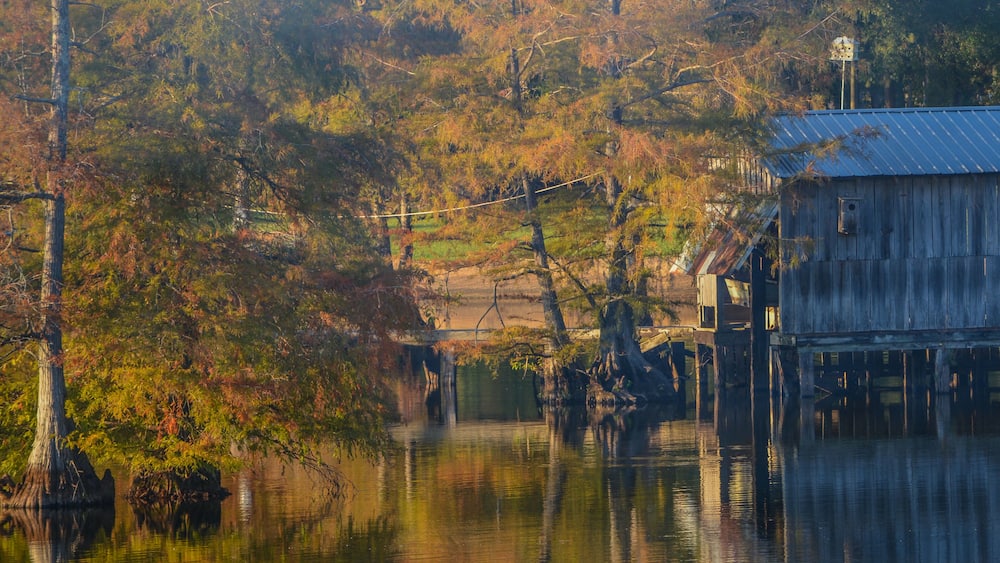A Boat House among Bald Cypress Trees along the shoreline of Lake D''Arbonne. In Farmerville, Union Parish, Louisiana