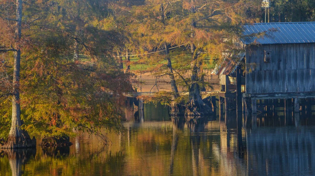 A Boat House among Bald Cypress Trees along the shoreline of Lake D''Arbonne. In Farmerville, Union Parish, Louisiana