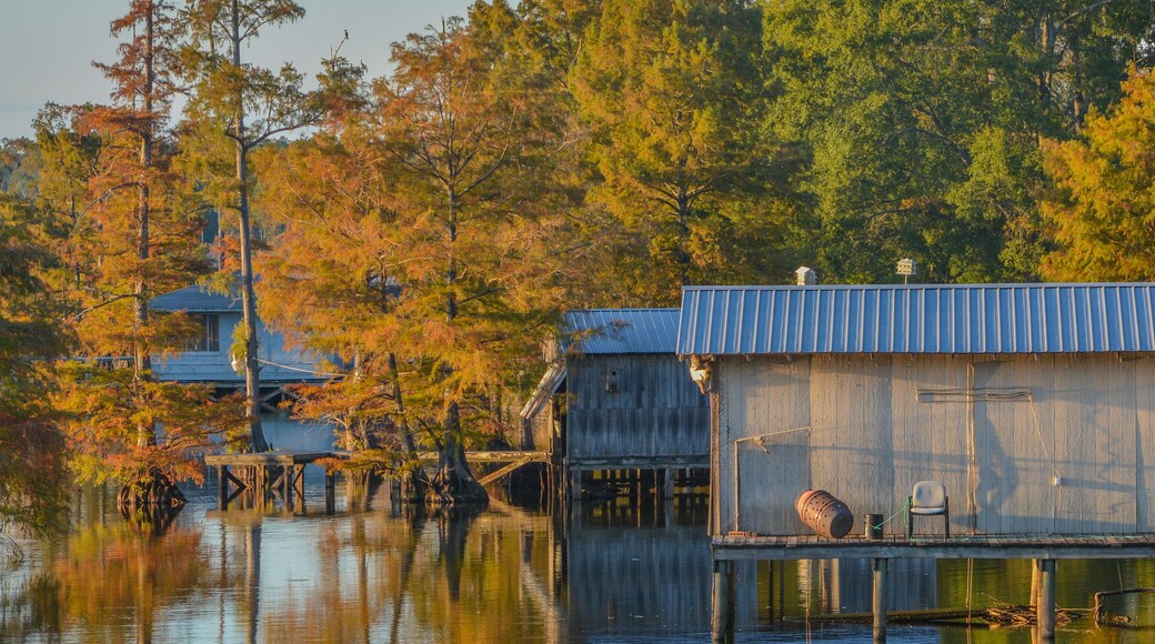 A Boat House among Bald Cypress Trees along the shoreline of Lake D''Arbonne. In Farmerville, Union Parish, Louisiana
