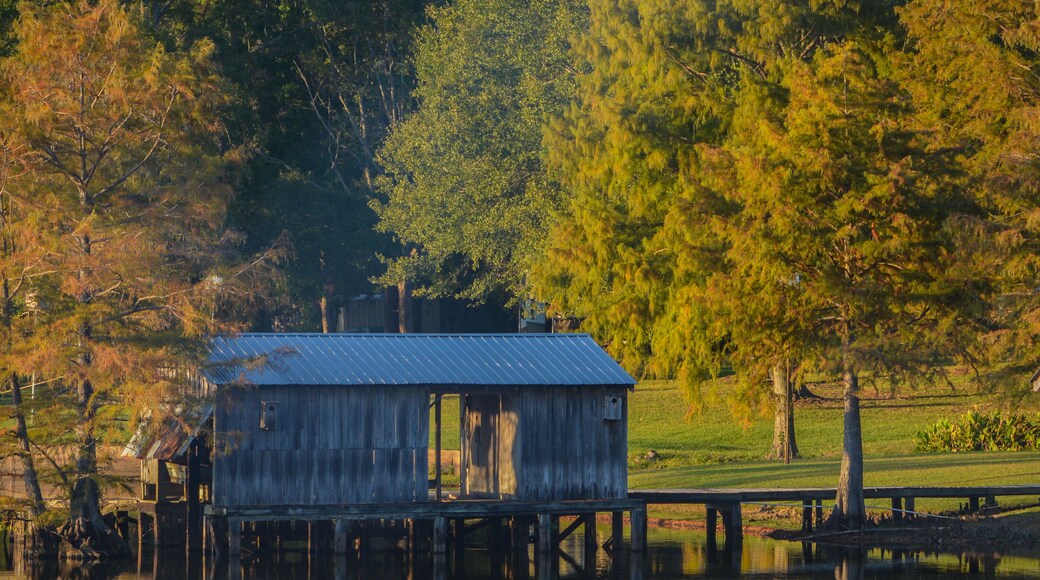 A Boat House among Bald Cypress Trees along the shoreline of Lake D''Arbonne. In Farmerville, Union Parish, Louisiana