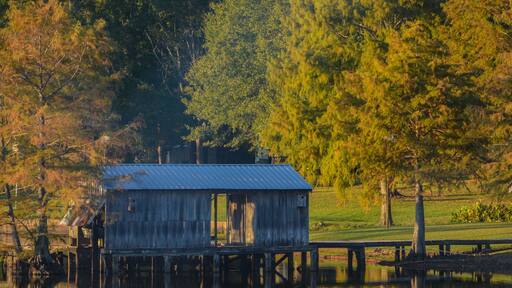 A Boat House among Bald Cypress Trees along the shoreline of Lake D''Arbonne. In Farmerville, Union Parish, Louisiana