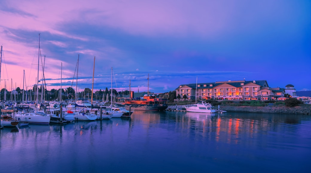 Bellingham harbor in Washington state during blue hour