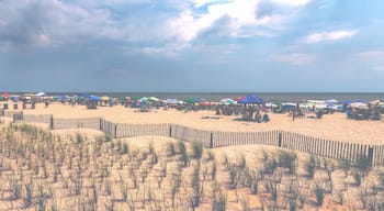 Beach During the Summer on the East Coast of the United States in Ocean City, New Jersey
