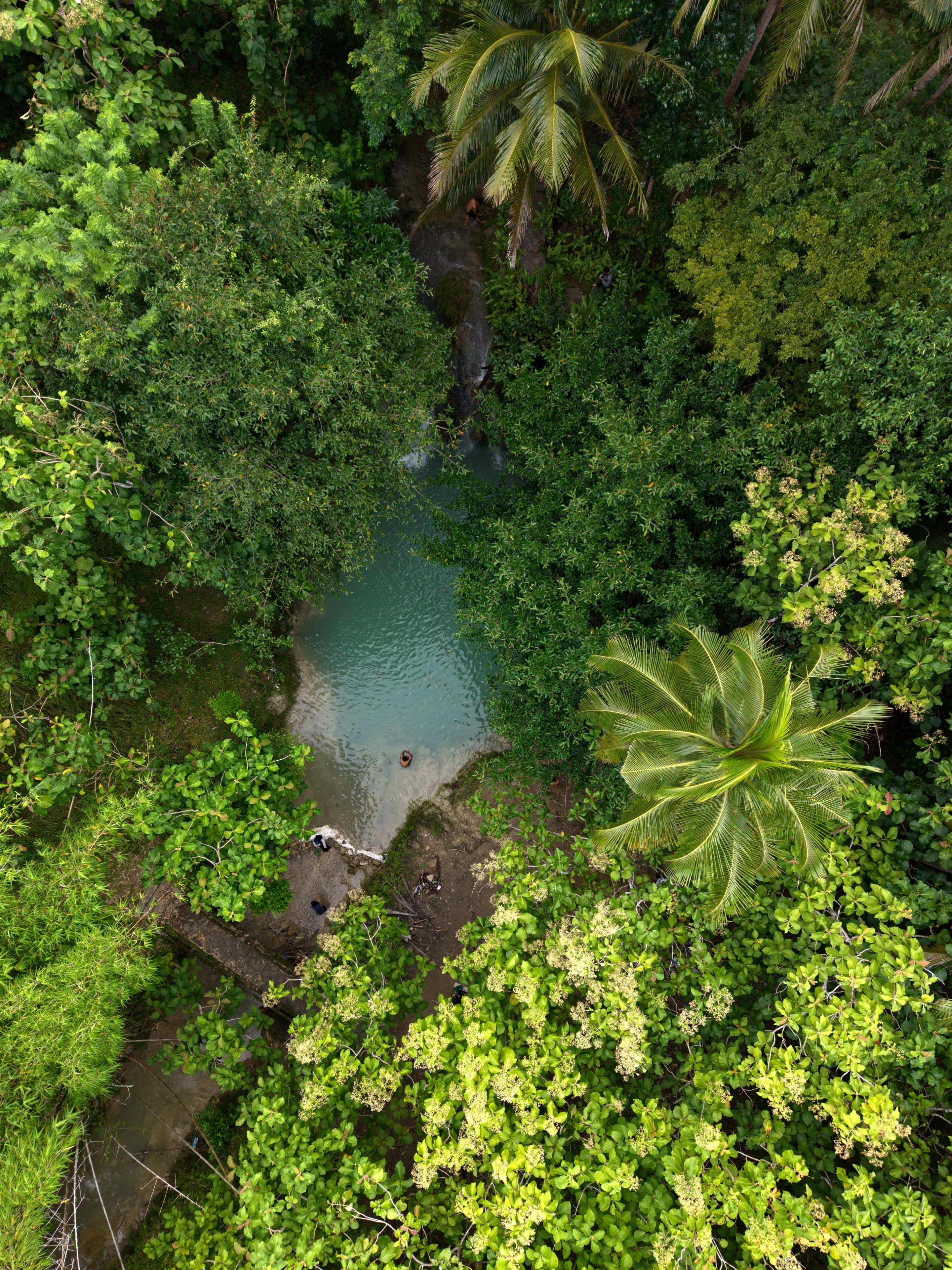 Aerial view of Kedung Pengilon waterfall surrounded by lush tropical forest and palm trees in Kecamatan Kasihan, Daerah Istimewa Yogya, Indonesia.