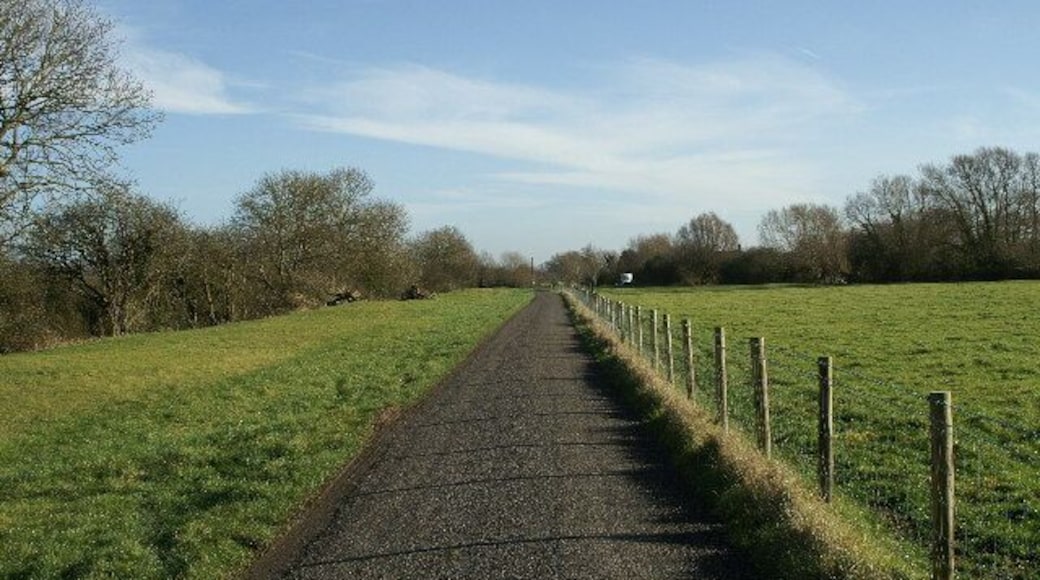 Merry Lane along the River Brue.