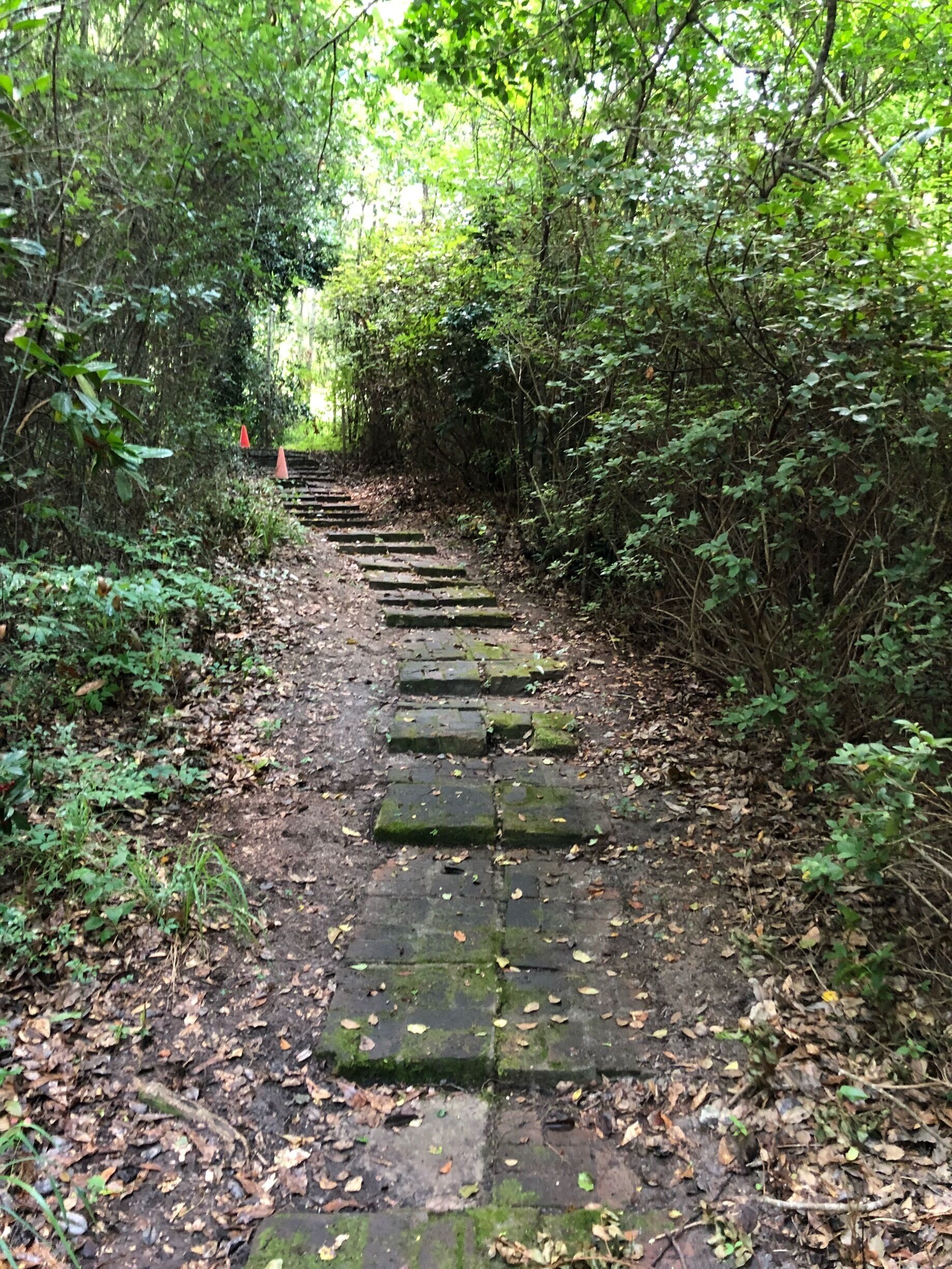 


Visit Frugal Family Travelers blog to learn more about this great location, to receive the travel itinerary and to discover more great places like this:

Take a Walk on the Wild Side! 

http://frugalfamilytravelers.blogspot.com/2018/06/take-walk-on-wild-side.html

Follow us on:

Facebook: https://www.facebook.com/frugalfamilytravelers

Twitter: @FrugalFamTrav

#wildlife



