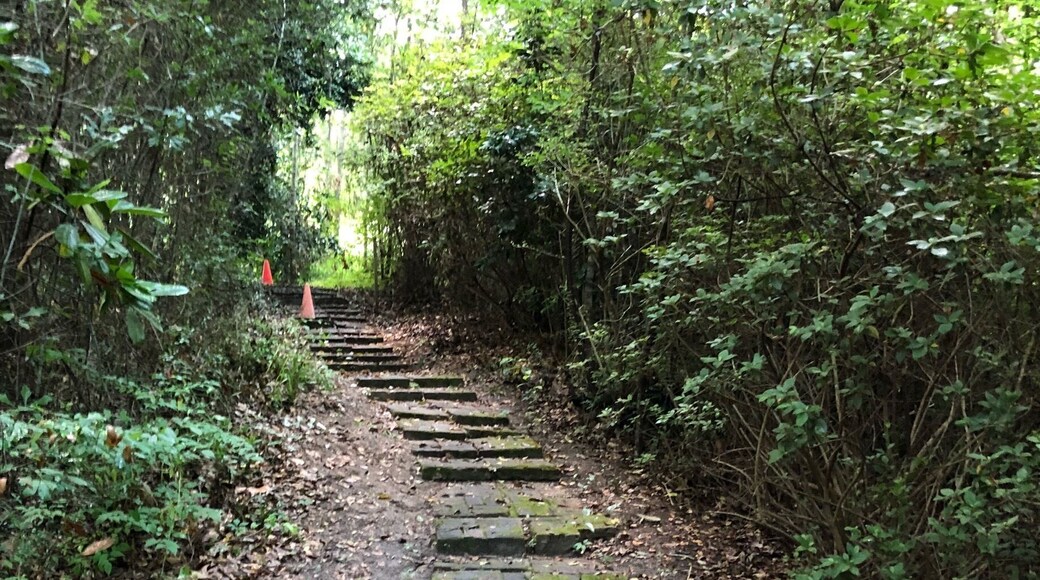 Visit Frugal Family Travelers blog to learn more about this great location, to receive the travel itinerary and to discover more great places like this:
Take a Walk on the Wild Side!
http://frugalfamilytravelers.blogspot.com/2018/06/take-walk-on-wild-side.html
Follow us on:
Facebook: https://www.facebook.com/frugalfamilytravelers
Twitter: @FrugalFamTrav
#wildlife