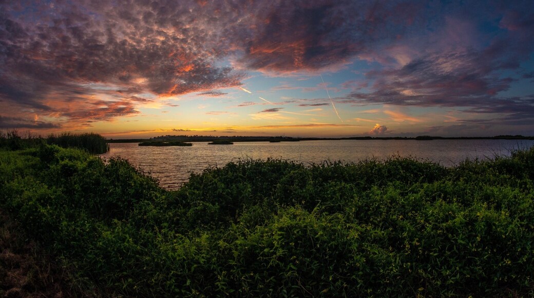 Sunrise at Big Branch Marsh NWR, La.