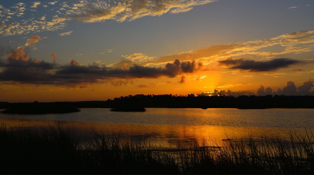 Sunrise on the marsh, Nikon D7100
Nikkor 12-24mm 1:4 G ED SWM