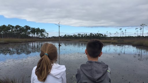 Visit Frugal Family Travelers blog to learn more about this great location, to receive the travel itinerary and to discover more great places like this:
Big Branch Marsh Boardwalk Trail
http://frugalfamilytravelers.blogspot.com/2017/12/hidden-gem-on-northshore.html
Follow us on:
Facebook: https://www.facebook.com/frugalfamilytravelers
Twitter: @FrugalFamTrav