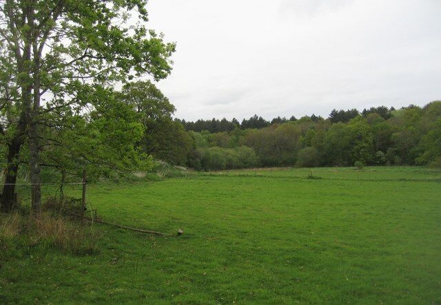 Grazing land & woodland North of the Basingstoke canal at Up Nately.