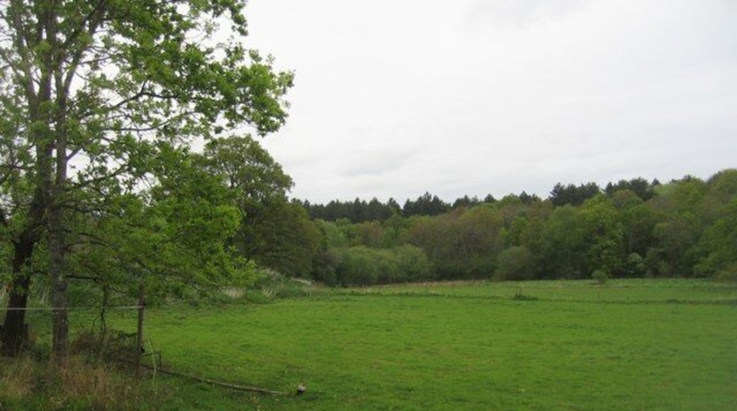 Grazing land & woodland North of the Basingstoke canal at Up Nately.