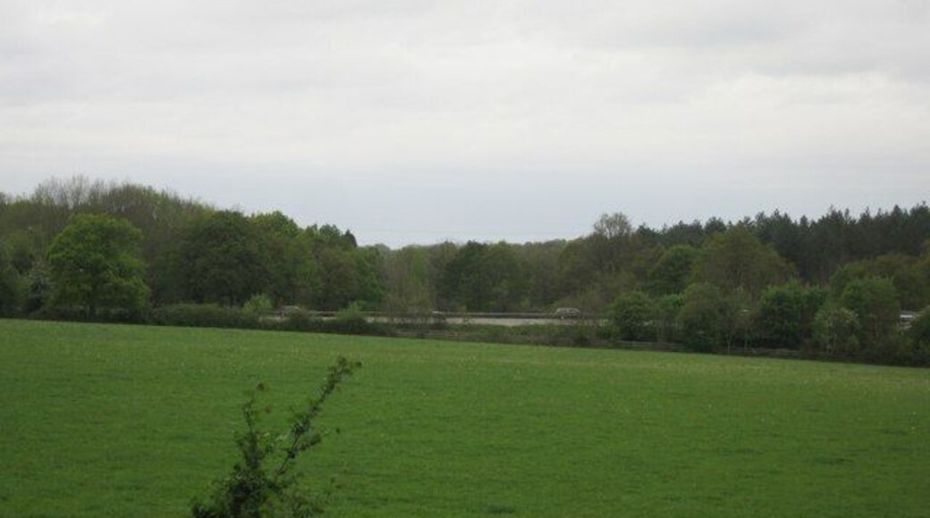 M3 passing through Hang Wood