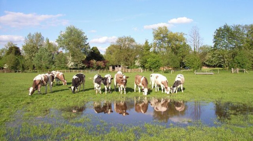 Farmland at Stratfield Turgis. On the Loddon flood-plain.