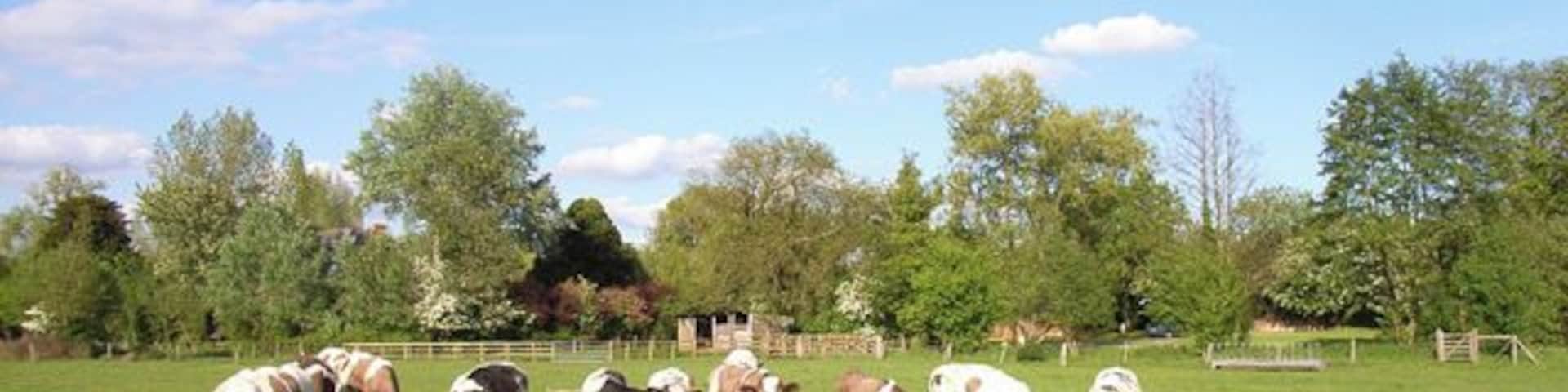 Farmland at Stratfield Turgis. On the Loddon flood-plain.