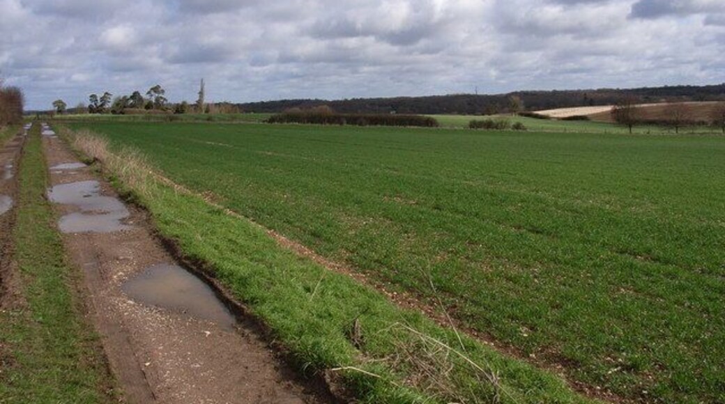 Farmland above Up Nately. The public footpath follows the track. This is the view slightly east of north.
