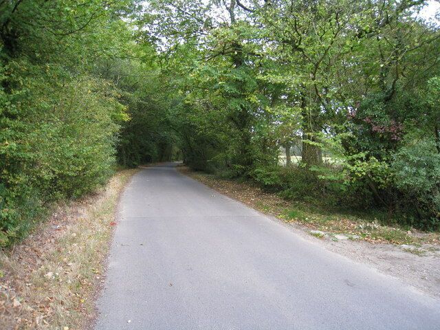 Ashmoor Lane The woodland to the left is Virnell's Copse.
