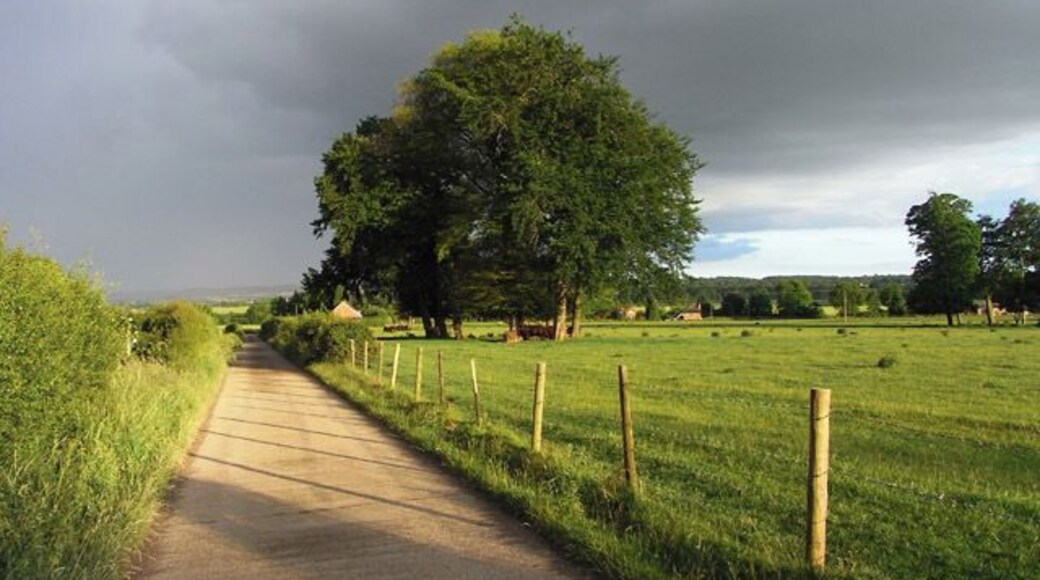 Farm-road, Wootton St Lawrence The road is the public footpath heading south from Manydown Park to the B3400 at Newfound.