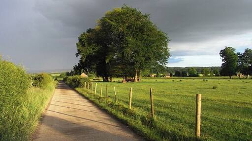 Farm-road, Wootton St Lawrence The road is the public footpath heading south from Manydown Park to the B3400 at Newfound.