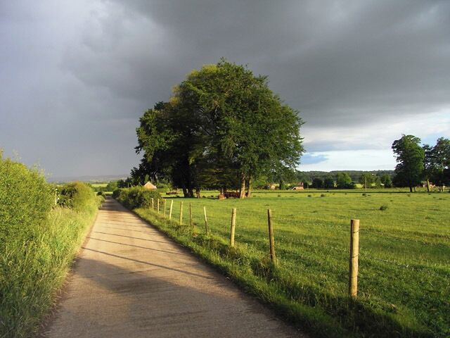 A rural path flanked by grass and trees, leading towards a cloudy sky.