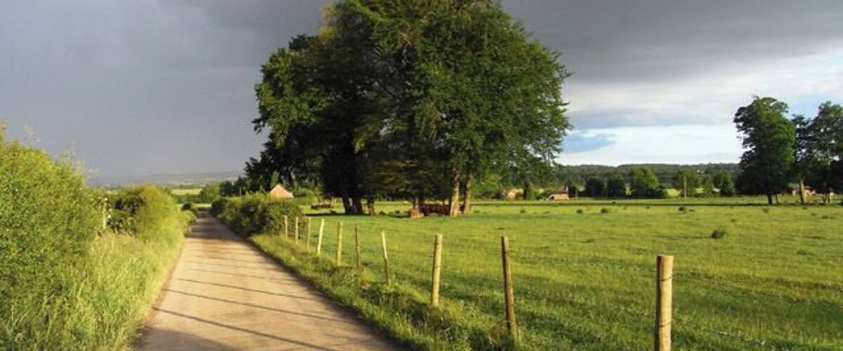 A rural path flanked by grass and trees, leading towards a cloudy sky.