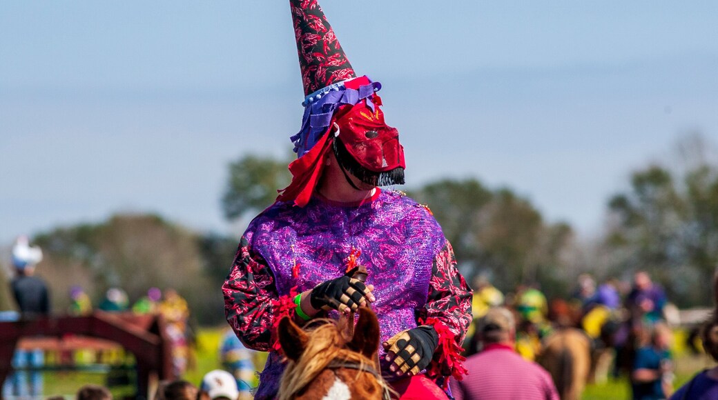 Courir de Mardi Gras Chicken Chasing in Mamou Louisiana