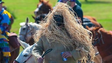 A person with straw on their head, holding a can, and surrounded by horses.