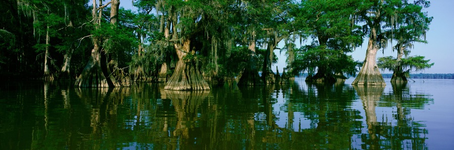 Wildlife Refuge at Lake Fausse Pointe State Park, Louisiana