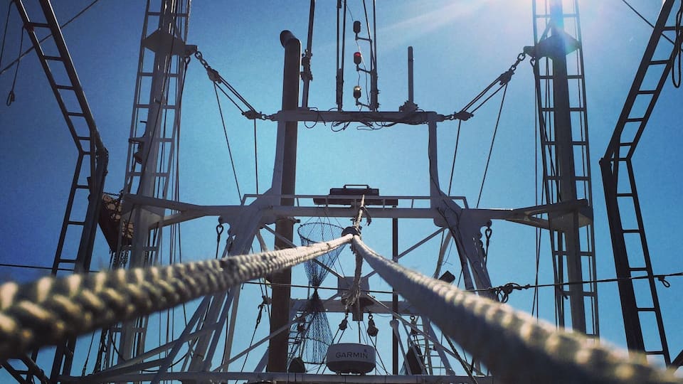 A complex network of metal structures and cables against a clear blue sky.