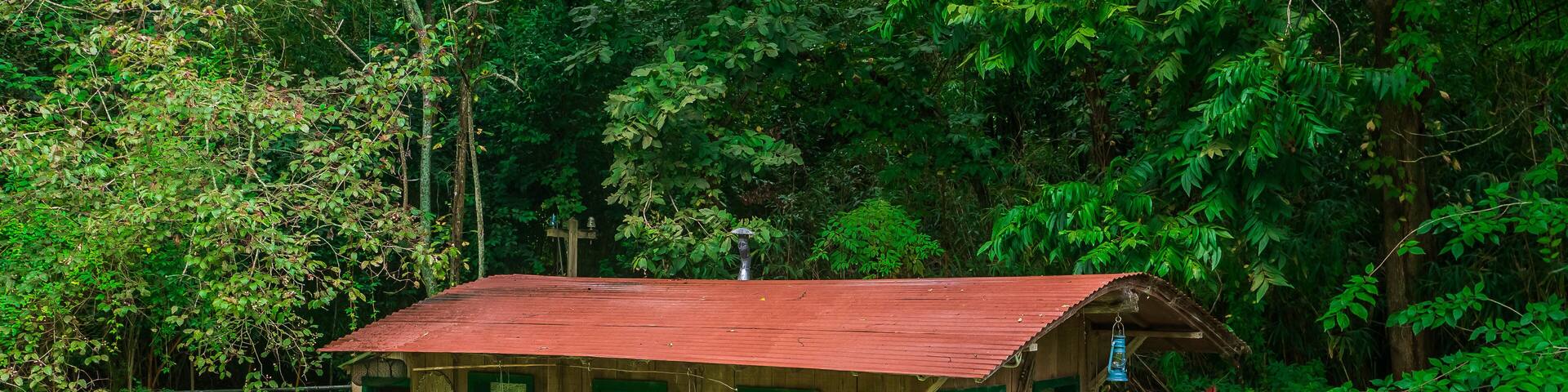 The houseboat at the zoo feels like a floating dream amidst the wild wonders around it, Audubon Zoo, New Orleans, Louisiana, United States of America