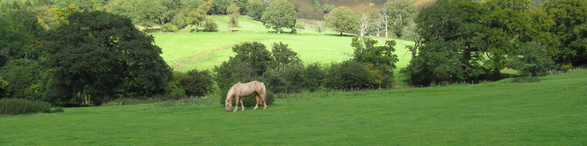 Near Llanthony Priory.