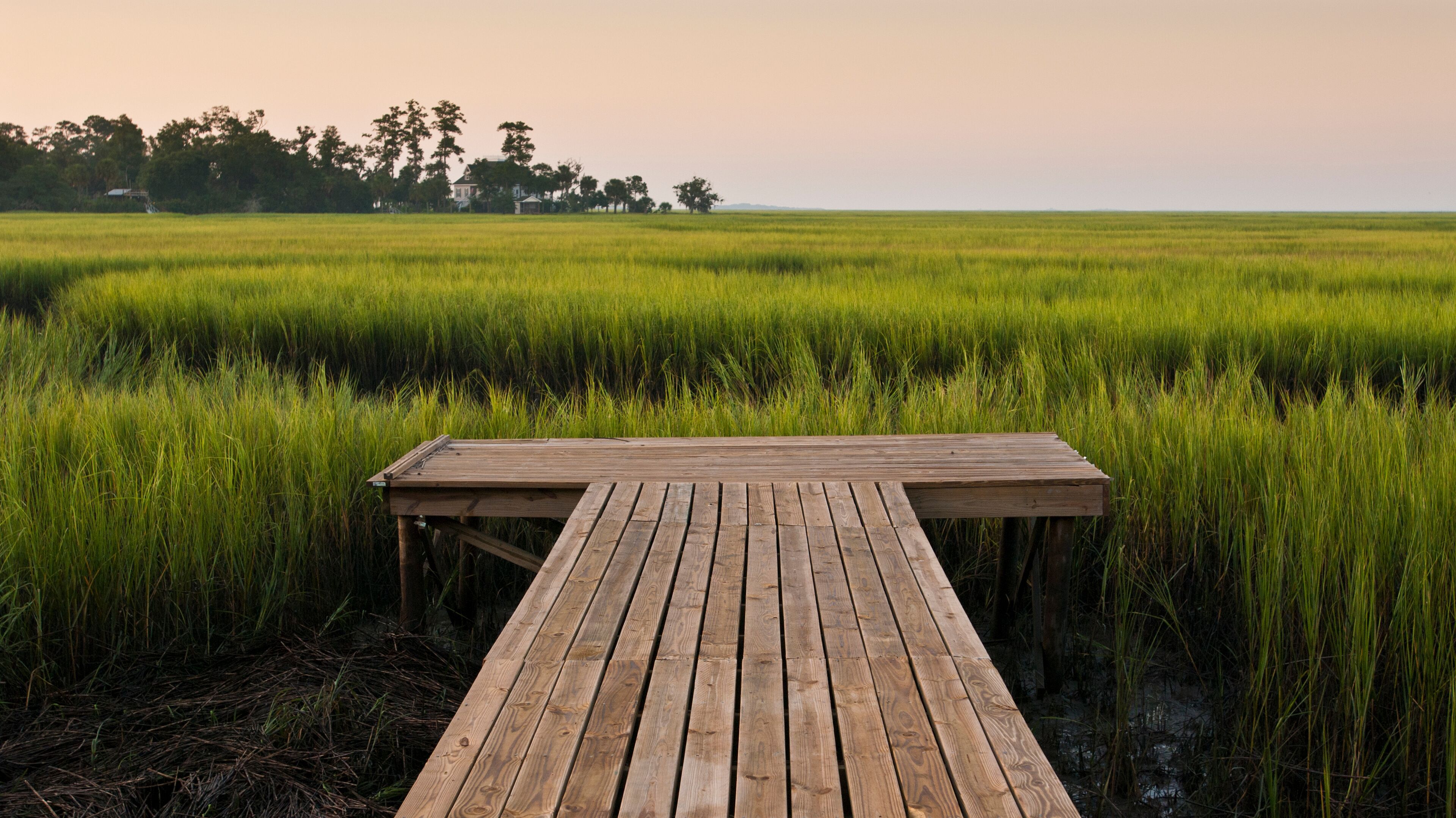 A wooden pier extending into a lush green field with a line of trees in the background.