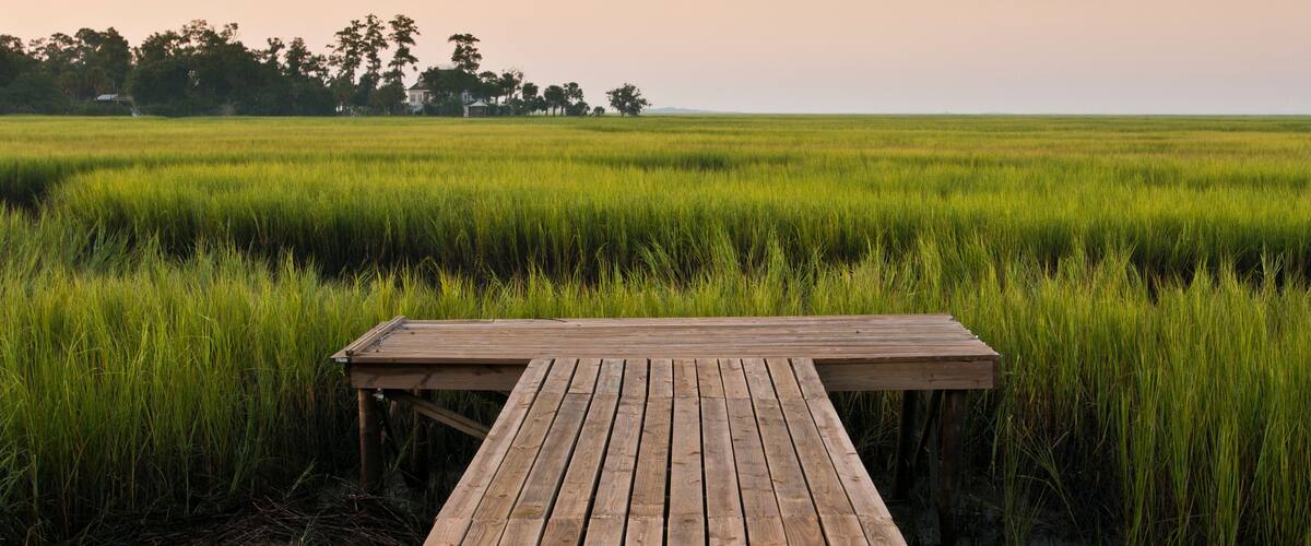A wooden pier extending into a lush green field with a line of trees in the background.