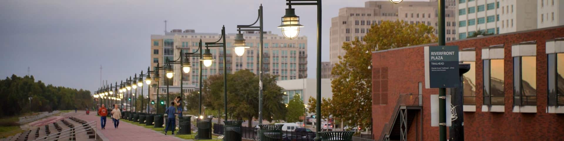 Baton Rouge showing a garden