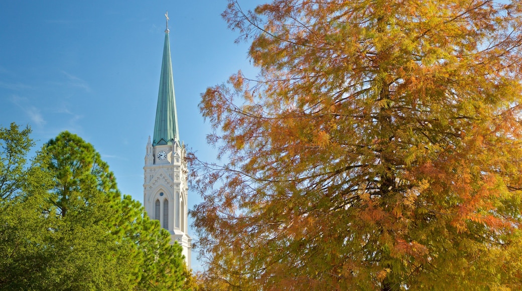 Baton Rouge mostrando elementos patrimoniales